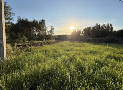 Участок м.о. Раменский, Черёмушки
