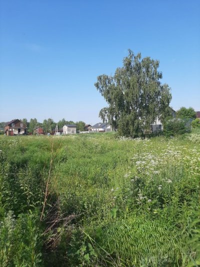 Участок м.о. Чехов, Чепелево