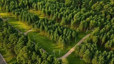 Участок г.о. Ступино, посёлок Сосны Лайф №23