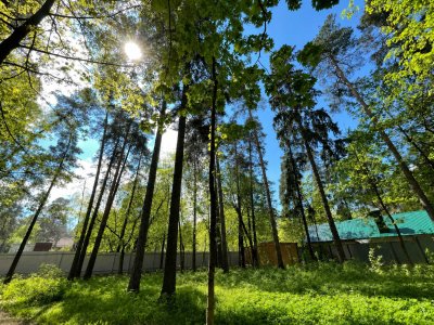 Участок Раменский м.о, пгт Удельная