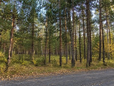 Участок Ступинский район, КП Парк Плейс