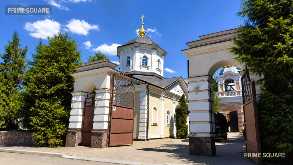 Кузнечики Лайф — фото 10