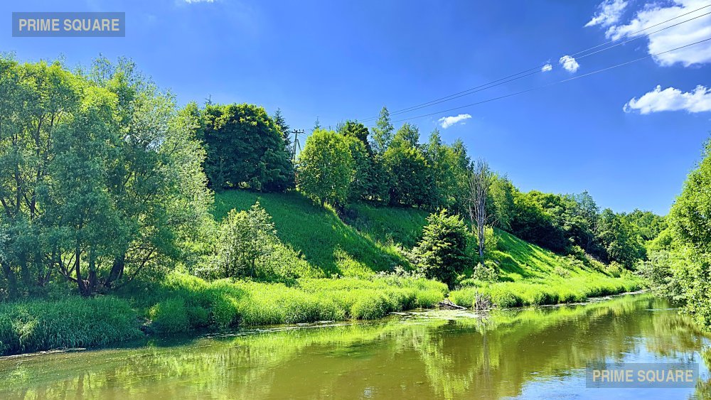 Кузнечики Лайф — фото 7