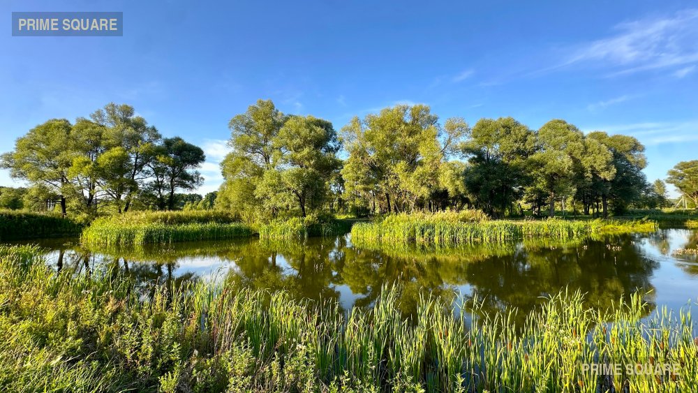 Нара Риверсайд — фото 12