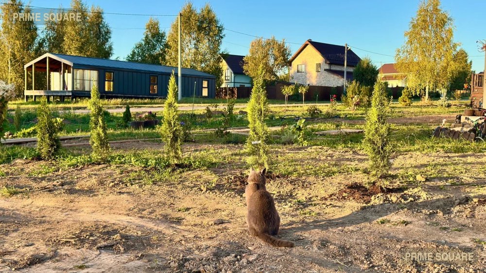 КП Изумрудные Холмы — фото 3