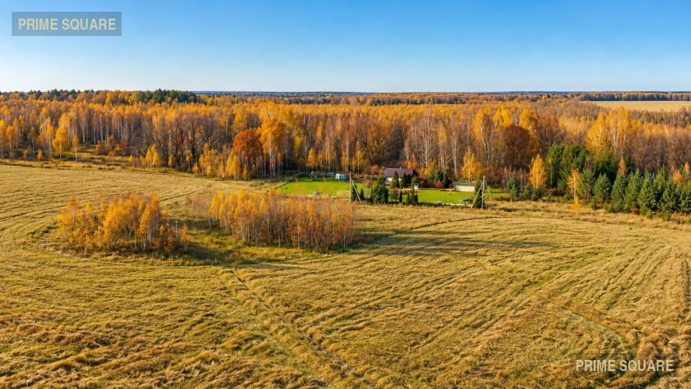 КФХ Ступинские Угодья (Т3) — фото 3