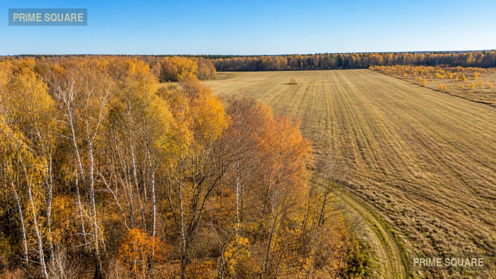 КФХ Ступинские Угодья (Т3) — фото 4