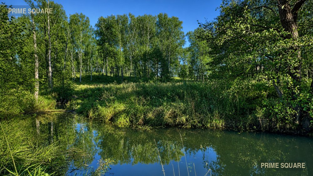 КФХ Доброе Подворье (Т13) — фото 8