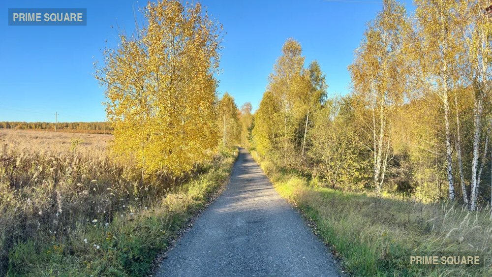 КФХ Золотая Нива (Т14) — фото 3