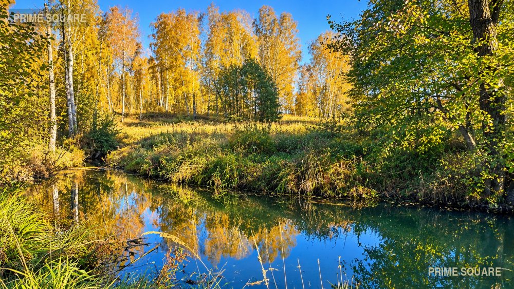 КФХ Золотая Нива (Т14) — фото 5