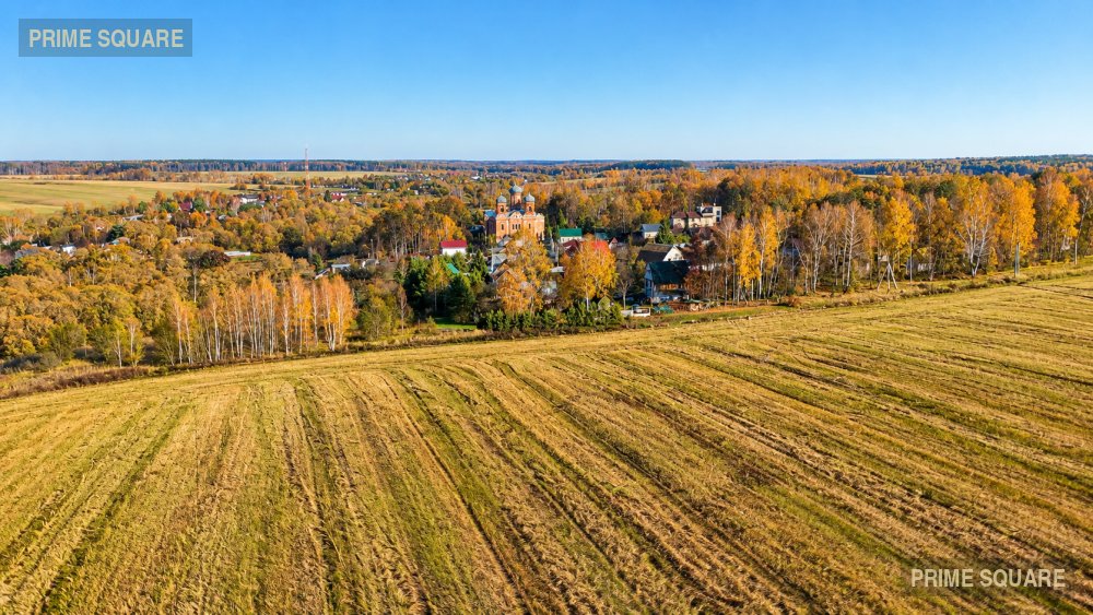 КФХ Золотая Нива (Т14) — фото 4