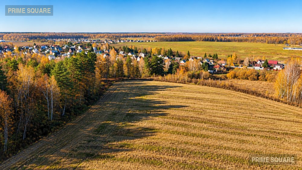 КФХ Золотая Нива (Т14) — фото 2