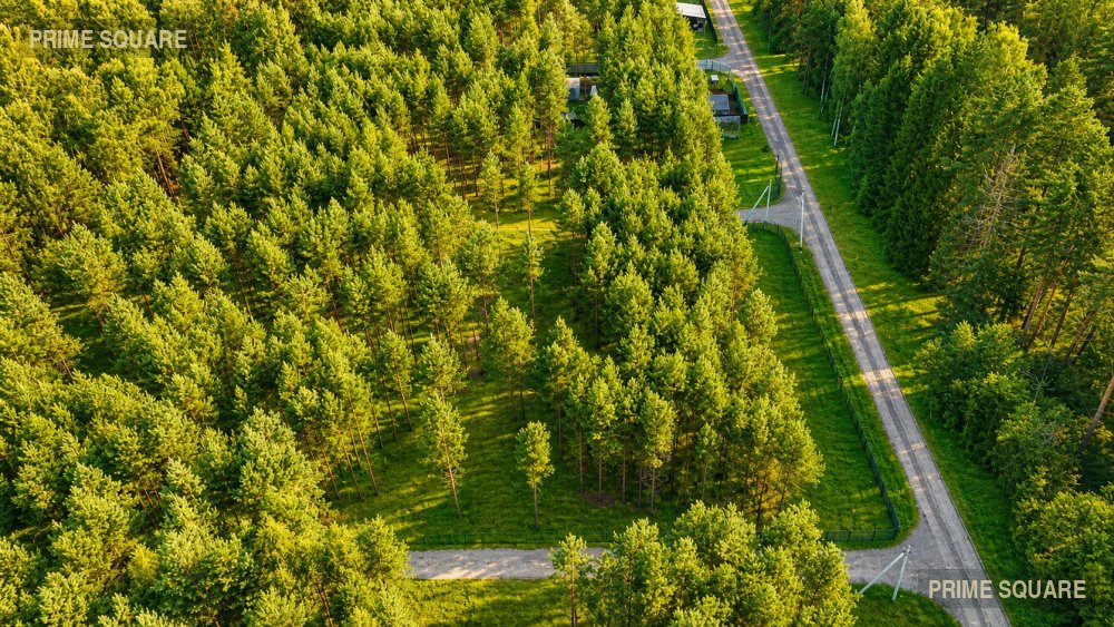 КП Сосны Лайф — фото 3